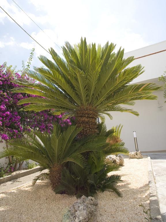 B&B Viro Campi Salentina Bagian luar foto