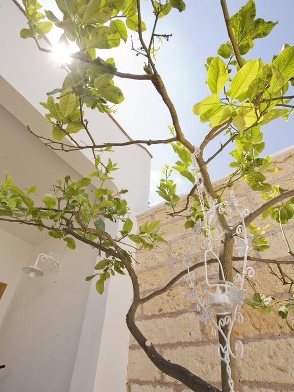 B&B Viro Campi Salentina Bagian luar foto